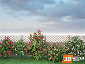 Mini Garden Skp Files 